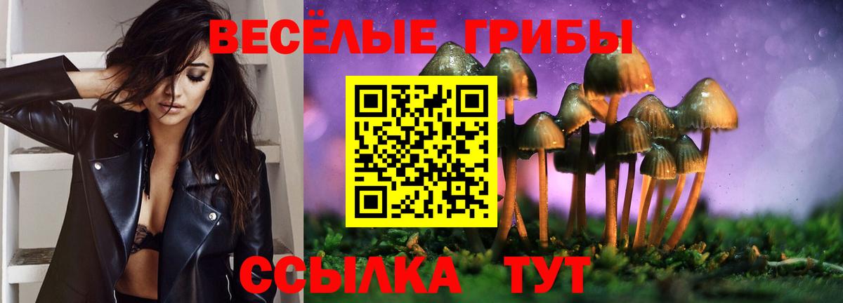 Галлюциногенные грибы Cubensis Воронеж